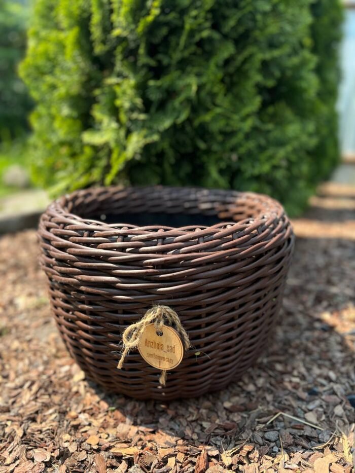 photo_2025-07-08_15-01-32 Кашпо з ротангу Венге - Зображення 1