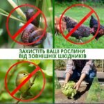 Захисні конус-теплиці (парники) 5шт - Зображення 3