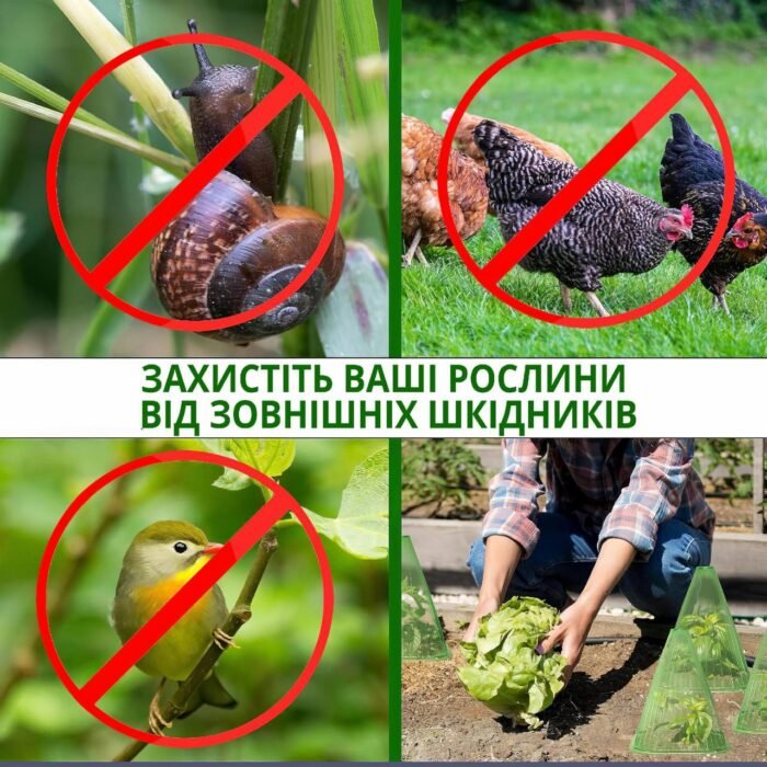 Захисні конус-теплиці (парники) 5шт - Зображення 3
