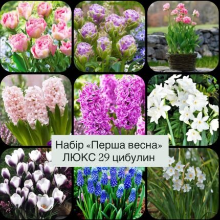 Набір "ПЕРША ВЕСНА ЛЮКС" 29 шт