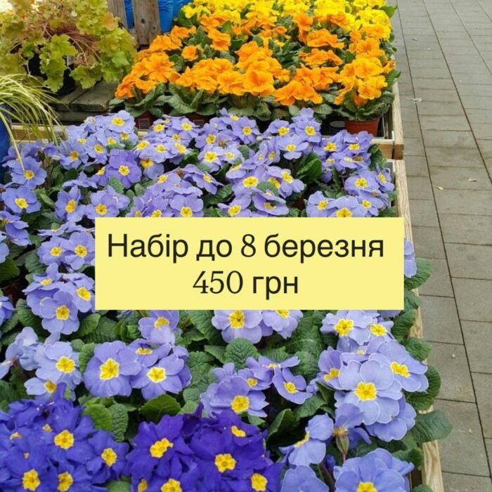 💐 Набір №2 — “Більше тепла” - Зображення 1