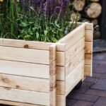 Ящики дерев'яні