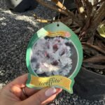  рододендрон 'Граффіто' С10 - Зображення 3