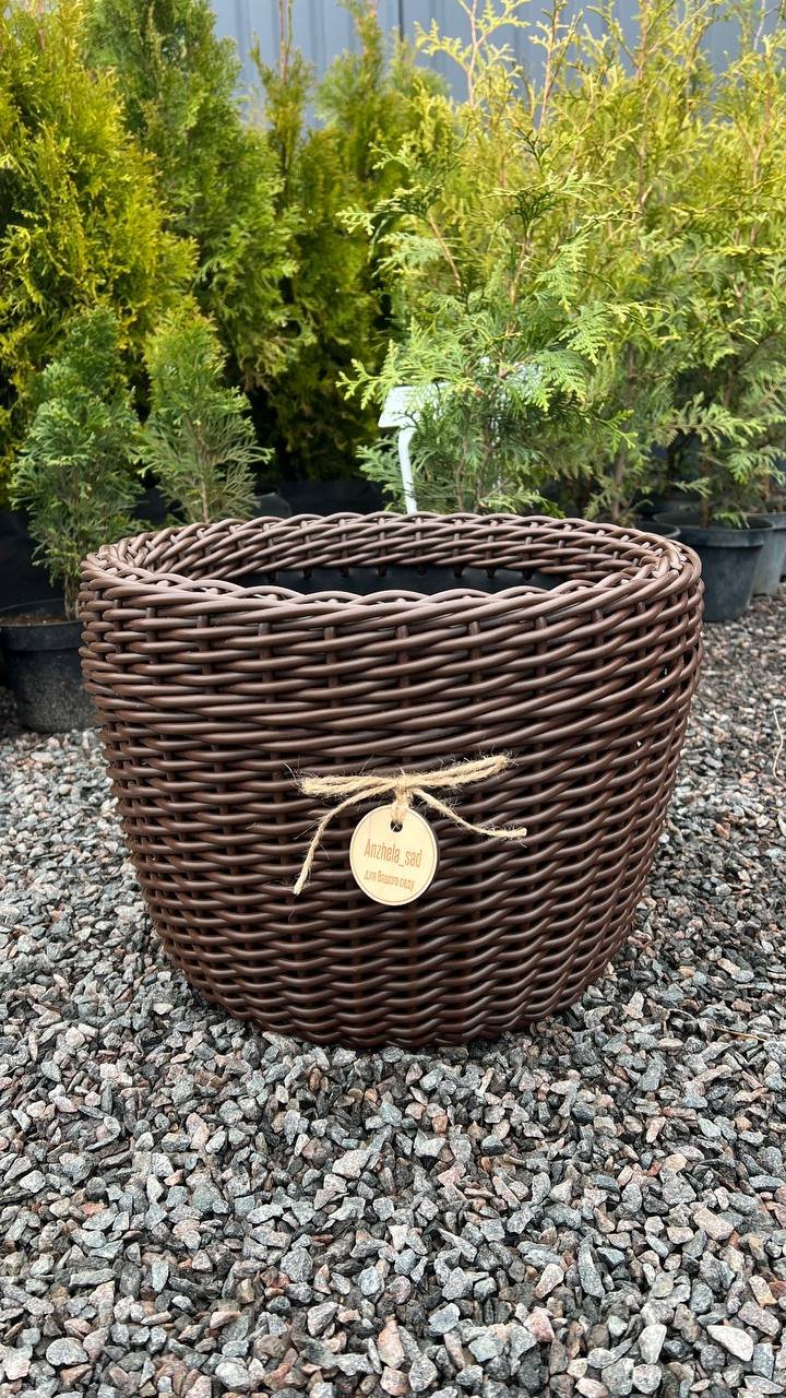 photo_2026-04-11_15-07-24 Кашпо Шокалад 20 л - Зображення 1