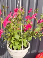 Кашпо Тайдал Hot Pink